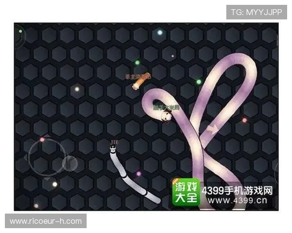 OG视讯官网安全保障措施与隐私保护策略详解确保玩家个人信息安全与游戏公平性